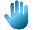 Hybrid Biometrics